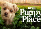 Apple TV+ lança trailer da 2ª temporada de “Puppy Place” - Série infantil "Puppy Place", do Apple TV+