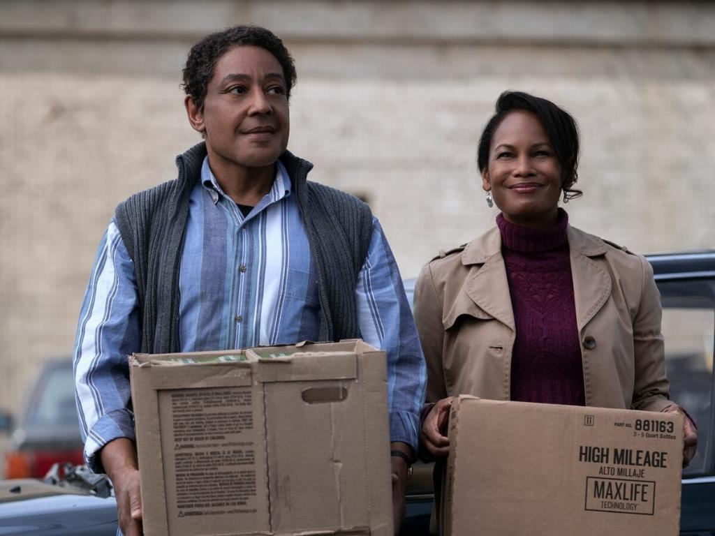 Giancarlo Esposito e Robinne Lee - Teoria Geek