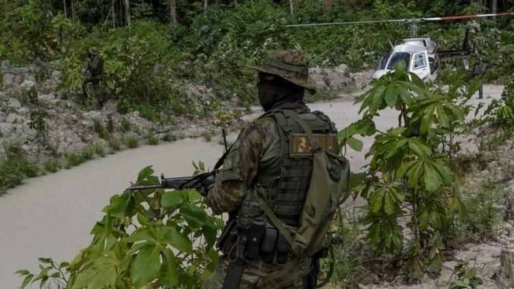 Qual a função do Ibama? Influencer entrega capivara Filó para o ...