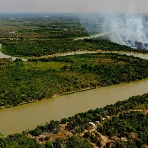 Lei estadual sancionada pelo governo estadual permite a pecuária na Bacia do Alto Paraguai, área protegida para conservação do pantanal. Foto: Mayke Toscano/Secom-MT