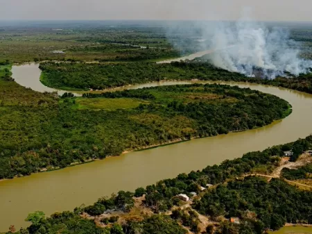 Lei estadual sancionada pelo governo estadual permite a pecuária na Bacia do Alto Paraguai, área protegida para conservação do pantanal. Foto: Mayke Toscano/Secom-MT