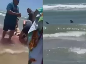 Mulher é atacada por tubarão em água rasa e tem perna gravemente ferida