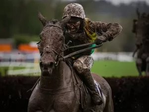 Além de Paris: World Sports Photo 2024 premia as melhores imagens de esportes olímpicos, com brasileiro entre vencedores