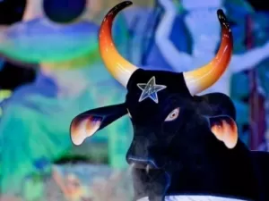 Festival de Parintins: Boi Caprichoso vence pelo terceiro ano consecutivo