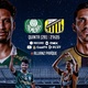 Palmeiras x Novorizontino: veja onde assistir a semifinal do Campeonato Paulista