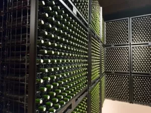 Produção de vinho do Reino Unido deve ser 70% menor em 2024