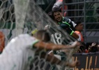 Piquerez abre o jogo após Palmeiras superar "crise": "Parecia que..." - Cesar Greco / Palmeiras