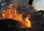 Corte no orçamento para incêndios preocupa deputados da Amazônia - Bancada amazonense teme efeitos da redução nos recursos para enfrentamento a incêndios florestais no orçamento de 2024. Foto: Valter Campanato/Agência Brasil