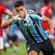 São José x Grêmio: saiba onde assistir