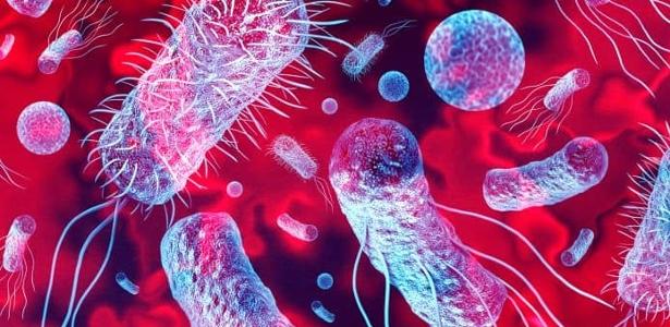 'Marcianos' no estômago? Bactérias se tornam exemplo de vida em extremos