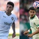 Palmeiras ou Botafogo: quem é melhor no cara a cara? Colunistas debatem