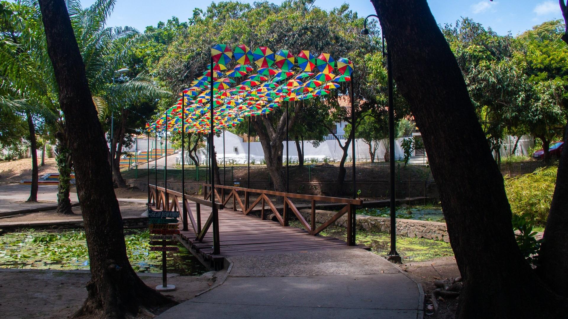 Imagem do Sítio do Seu Reis - undefined