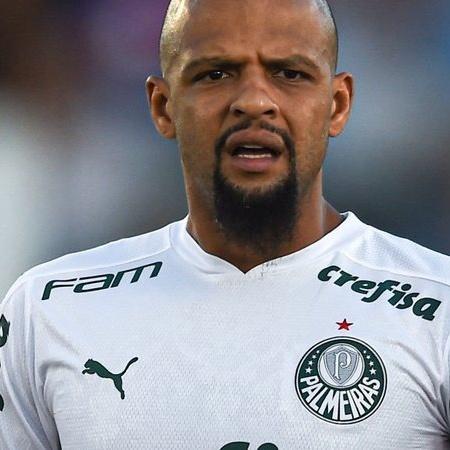 Palmeiras fracassou no Mundial de Clubes. Será? - AcheiUSA