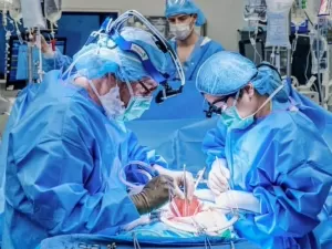 Primeira paciente recebe coração mecânico e rim de porco ao mesmo tempo