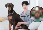 Como está Bam, o cachorro de Jungkook, enquanto o idol está no exército? - Reprodução/ Twitter/bts_bighit e Instagram/jungnam_bae