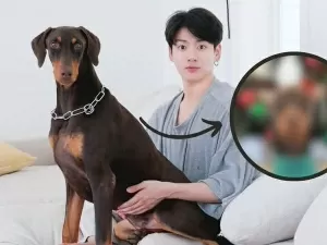 Como está Bam, o cachorro de Jungkook, enquanto o idol está no exército?