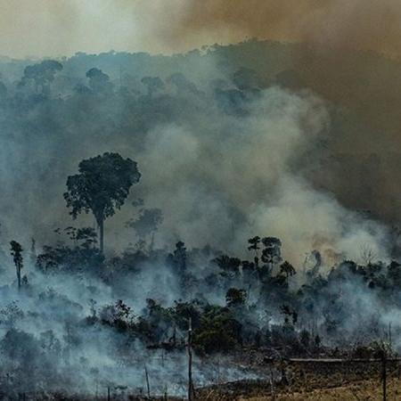 Imagem das queimadas na Amazônia - Divulgação/ Greenpeace/ Victor Moriyama