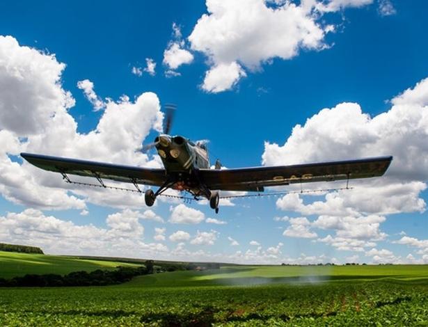 Entrega marca a estreia do Ipanema 203 no mercado paraguaio - undefined