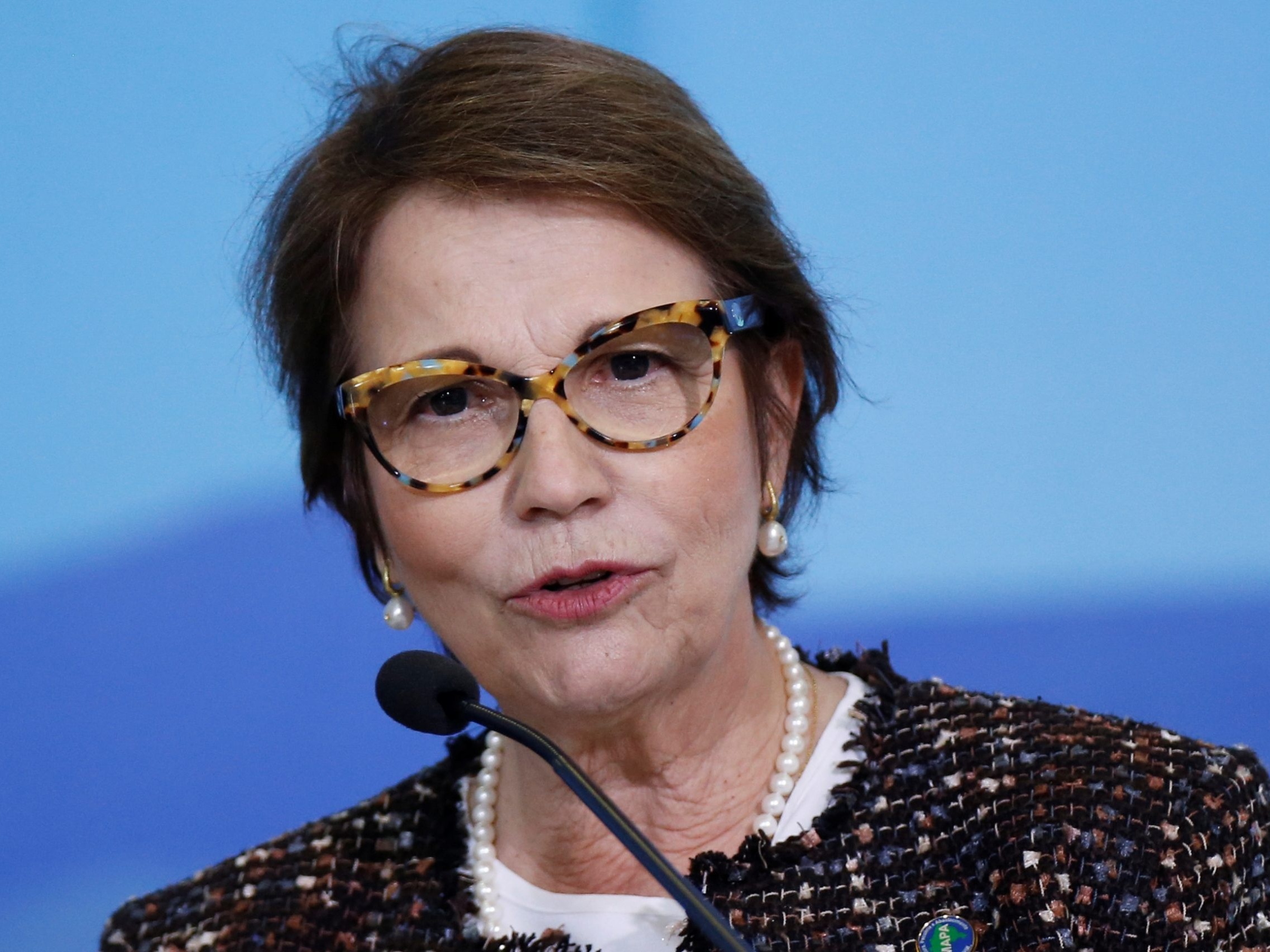 "Boi é bombeiro do Pantanal": Ministra defende mais gado contra incêndios