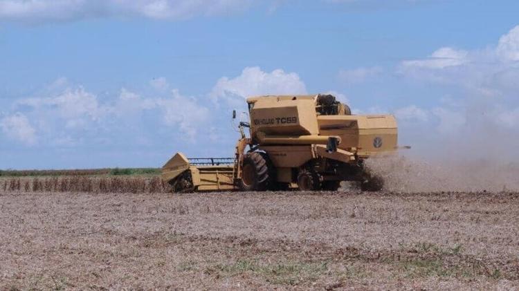Agronegócio deve aproveitar o tarifaço e exportar mais para a China 