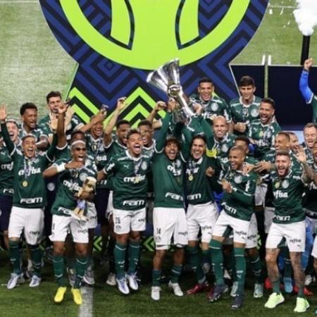 Palmeiras vence de virada e levanta taça do Brasileirão - Reprodução / Instagram @palmeiras