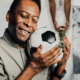 Velório de Pelé será aberto ao público na Vila Belmiro nesta segunda-feira (2)