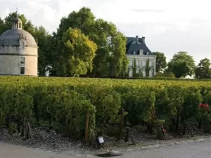 Château Latour 1865 é vendido por R$ 603 mil em Hong Kong