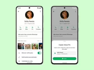 Você não vai mais precisar perguntar ‘qual é seu Pix?’ no WhatsApp