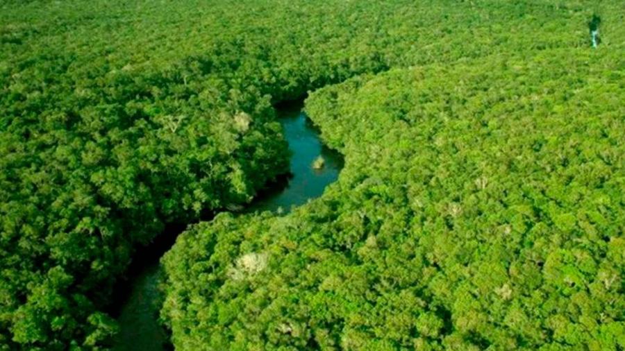 Noruega anuncia retomada de fundo para a Amazônia  -  O Antagonista 