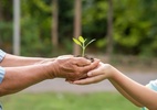 Boas Práticas Escolares apresenta projetos de educação ambiental e enfrentamento às emergências climáticas