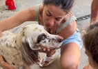 Cachorro de Anitta é encontrado após fugir da nova mansão da cantora - REPRODUÇÃO/INSTAGRAM