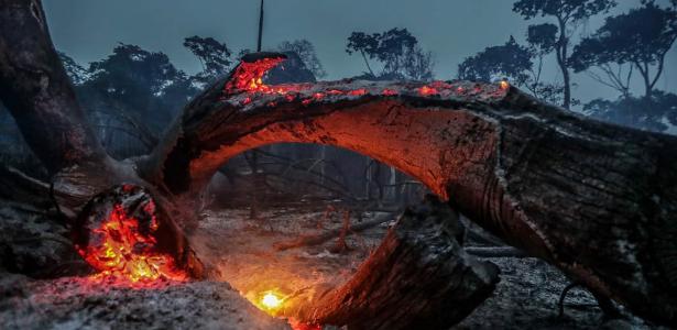 Bolsonaro nega no Supremo a omissão ambiental que os fatos confirmam