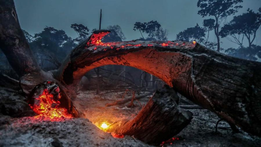 AM - DESMATAMENTO/AMAZÔNIA/QUEIMADAS - GERAL - Imagem registrada no dia 26/08/2019 mostra unidade de conservação   ambiental atingida pelo fogo na região de Manicoré, no Amazonas. Em meio à   alta do desmatamento e das queimadas na Amazônia, o Grupo Especializado de   Fiscalização (GEF) do Ibama, considerado a tropa de elite do instituto   para o combate ao crime organizado na área ambiental, não foi a campo   neste ano para combater crimes desse tipo. O Ibama é vinculado ao   Ministério do Meio Ambiente. Isso se soma a uma queda geral no número de   autuações do Ibama na Amazônia. Até 23 de agosto foram aplicadas 1.639   multas por crimes contra a flora na região - queda de 42% em relação ao   mesmo período do ano passado. É também a menor taxa desde 2010.    26/08/2019 - Foto: GABRIELA BILó/ESTADÃO CONTEÚDO - Gabriela Biló/Estadão Conteúdo