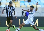 Botafogo x Fluminense: onde assistir ao vivo e escalações da partida - Vitor Silva/Botafogo/Flickr