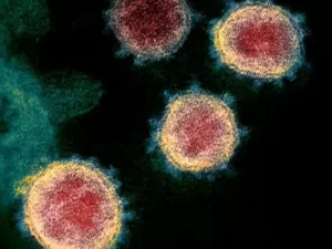 Coronavírus pode ficar no espermatozoide até 110 dias após a infecção