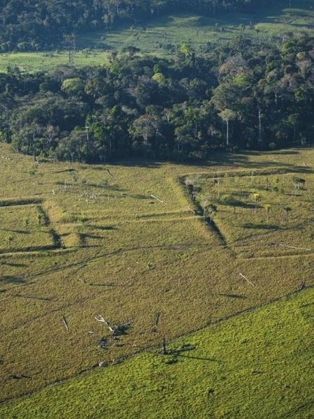 Amazônia foi densamente povoada no passado, e ação humana moldou a floresta - Imagem: Maurício Paiva/FAPESP