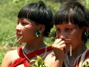 Comissão da Amazônia aprova projeto que reconhece genocídio indígena em 1500
