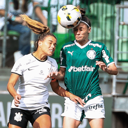 Corinthians e Palmeiras vão jogar a Libertadores em outubro, em Quito - Flickr/Palmeiras