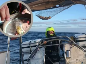 ‘Naveguei pelos oceanos em busca de microplásticos – um filme mostra o que nossa expedição só de mulheres encontrou’