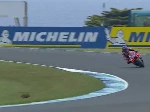 VÍDEO: MotoGP tem dia 'inusitado' na Austrália com invasão animal e treino cancelado por chuva