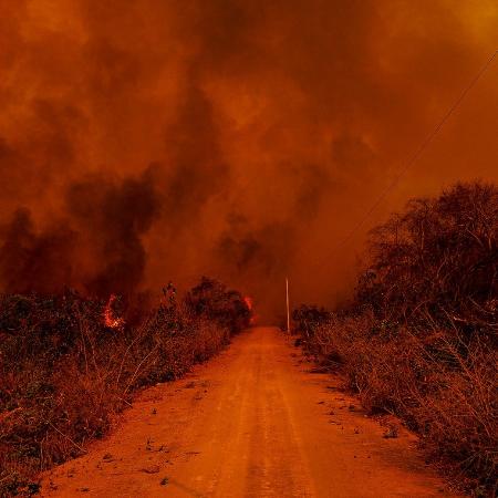 Incêndio no Pantanal - Mayke Toscano/Secom-MT