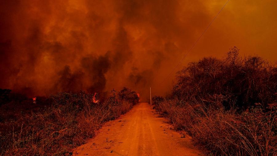 Incêndio no Pantanal - Mayke Toscano/Secom-MT