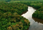 Governador do MT volta atrás e veta projeto que reclassifica a Amazônia - Amazônia mato-grossense. Foto: Portal Mato Grosso