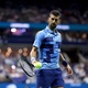 Zimonjic afirma que Djokovic contrata Murray pensando nos Grand Slam