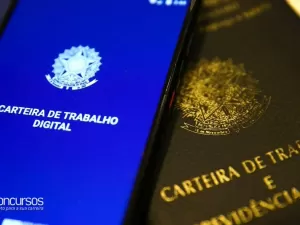 Processos seletivos no Sebrae, Renner e mais empresas somam 700 vagas abertas