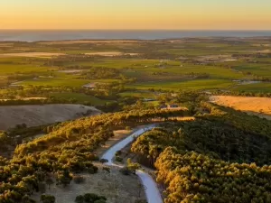 Conheça a região vitivinícola de McLaren Vale