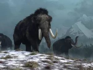 Extinção dos mamutes ocorreu por motivo misterioso