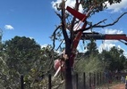 Helicóptero da família de Henrique e Juliano cai no Tocantins