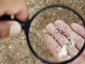 Microplásticos podem chegar ao cérebro pelo nariz; saiba mais