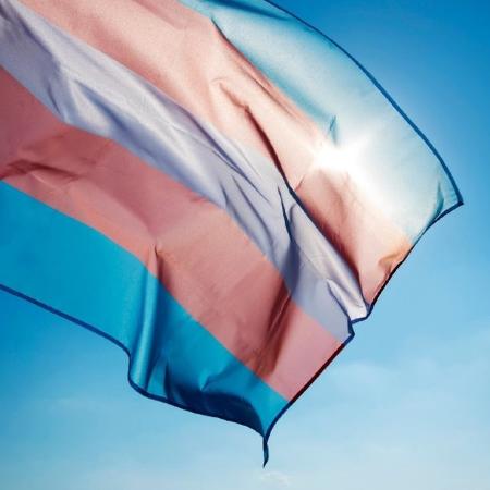 Bandeira do orgulho trans (Reprodução) - Reprodução / Internet